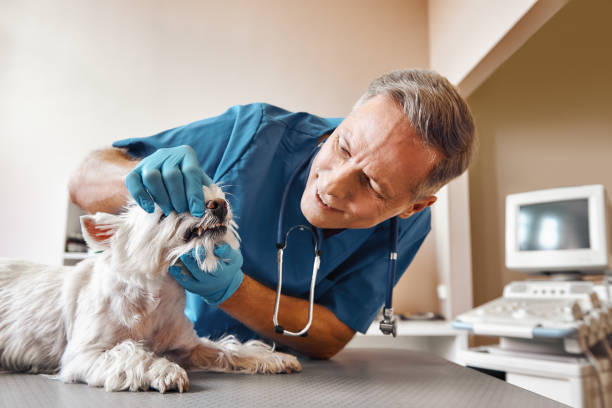 Best Emergency Gum Treatment in Pembroke Pines, FL